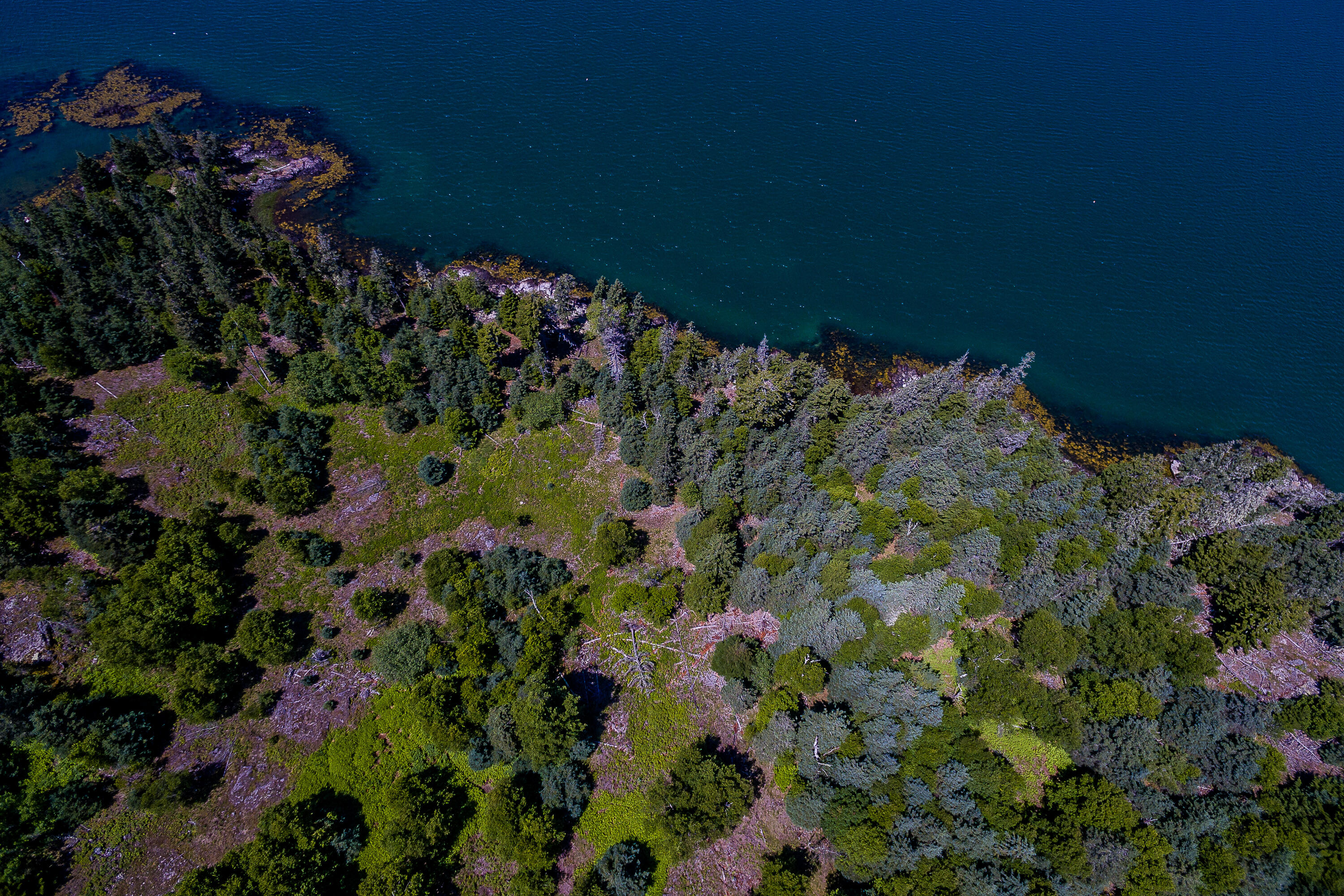 273 Indian Point Road North Haven, ME 04853 - Photo 14 of 31 07_273IndianPoint_NorthHaven_S_Aerial_pr