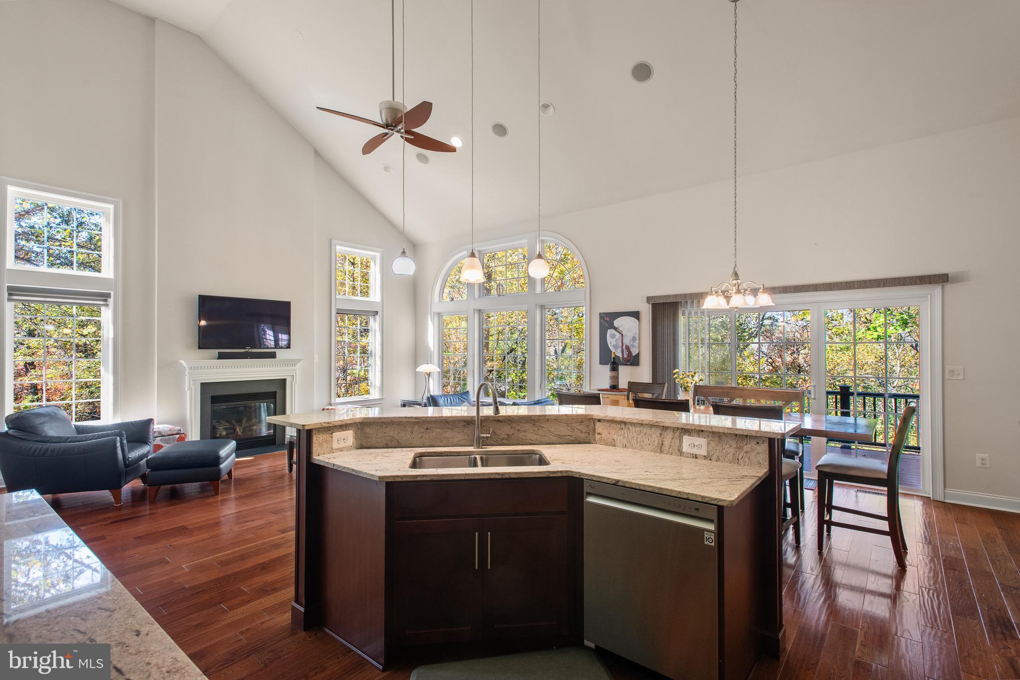 110 Dauphin Drive Springfield, PA 19064 - Photo 12 of 52 a living room with stainless steel appliances granite countertop furniture a fireplace a flat screen tv and a large window