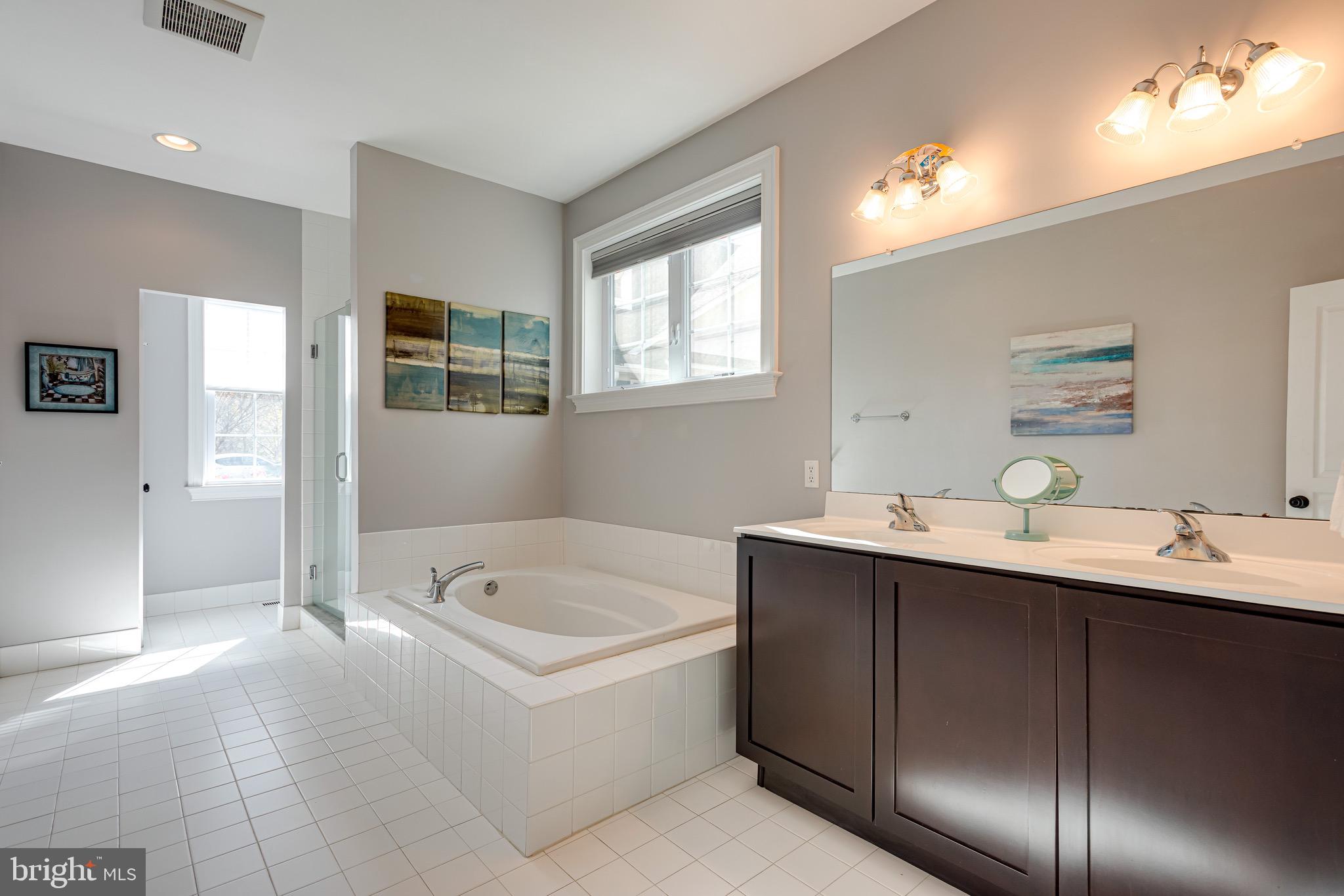 110 Dauphin Drive Springfield, PA 19064 - Photo 21 of 52 a bathroom with a tub a sink and mirror