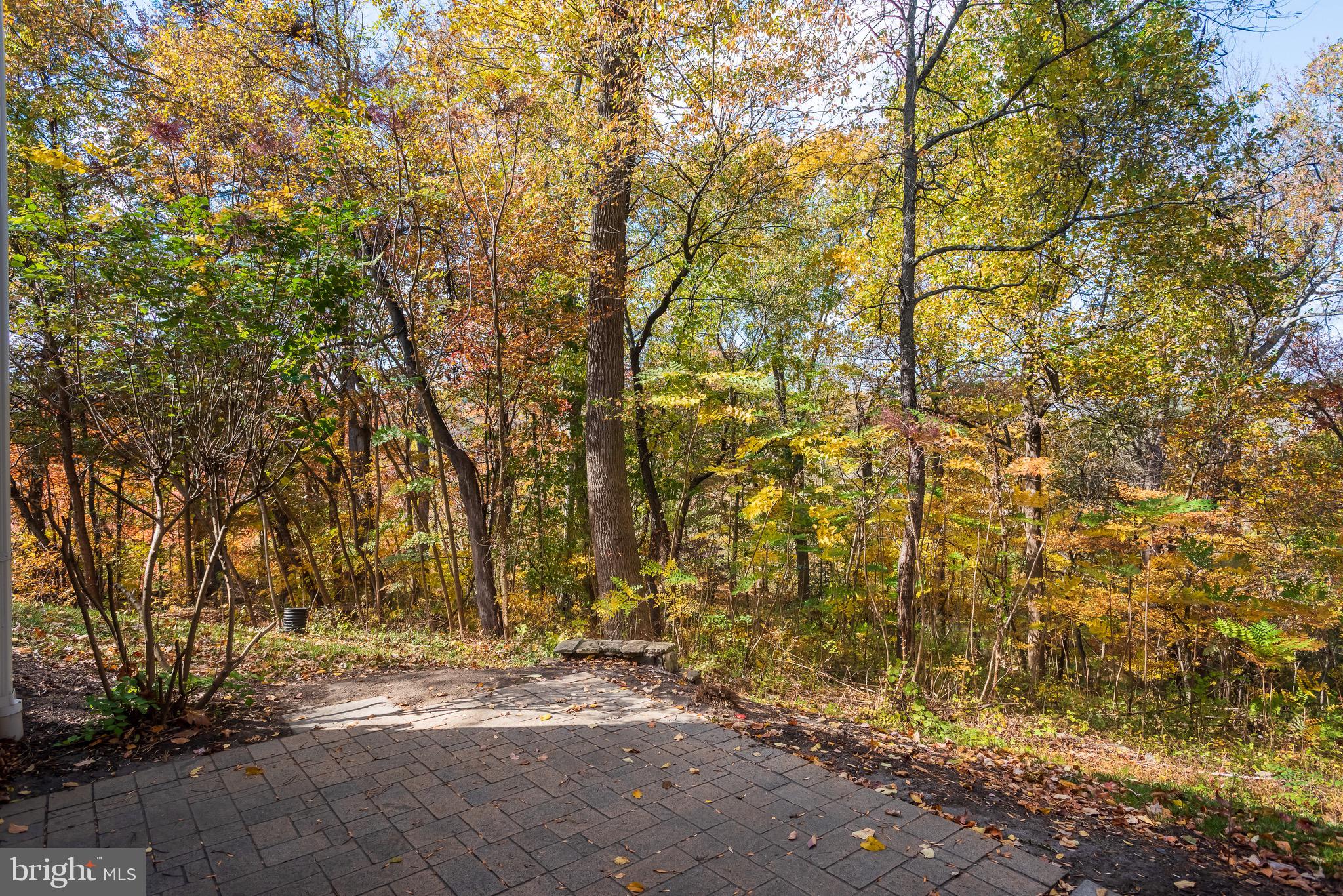 110 Dauphin Drive Springfield, PA 19064 - Photo 43 of 52 a view of open space with a tree