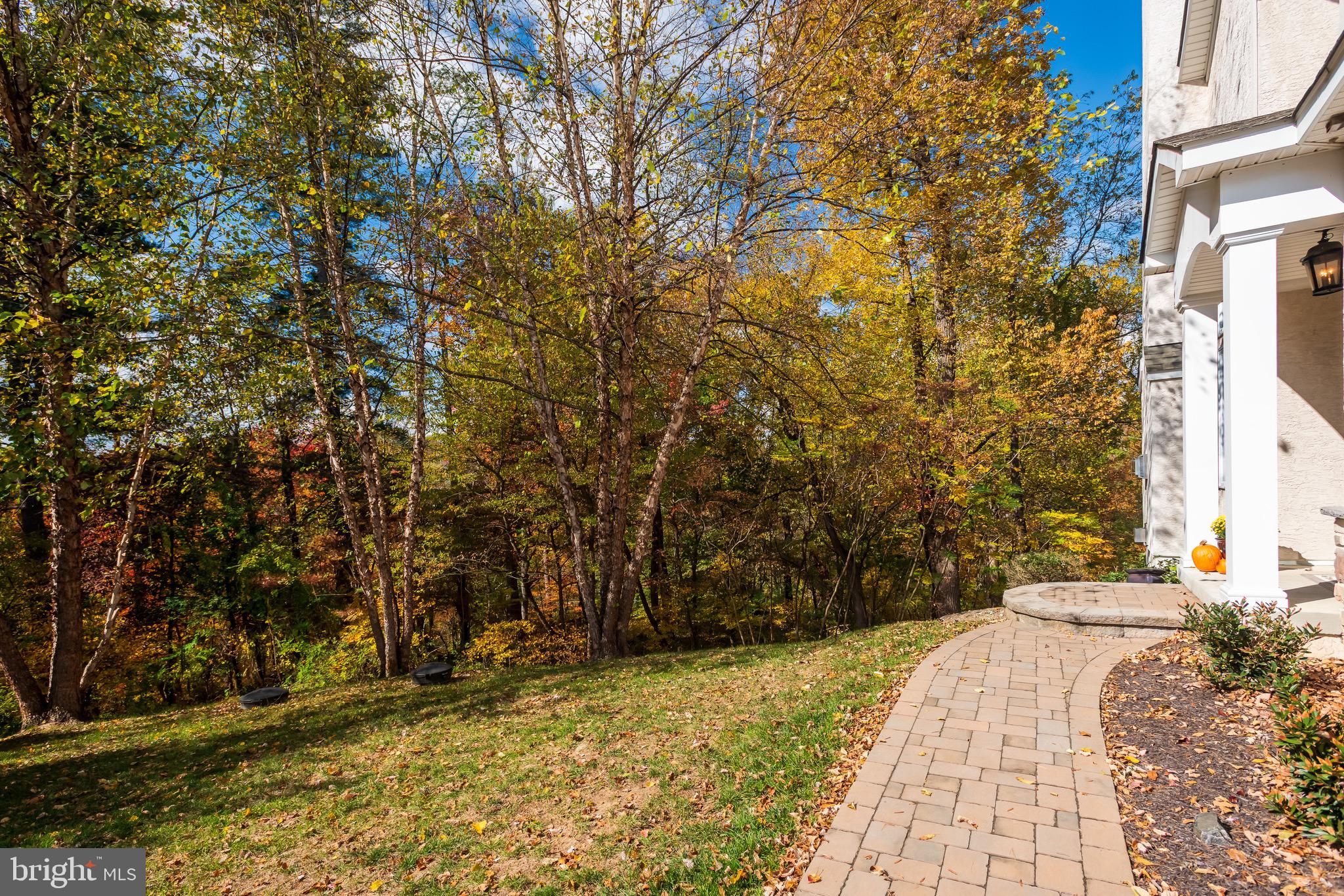 110 Dauphin Drive Springfield, PA 19064 - Photo 50 of 52 a view of a backyard