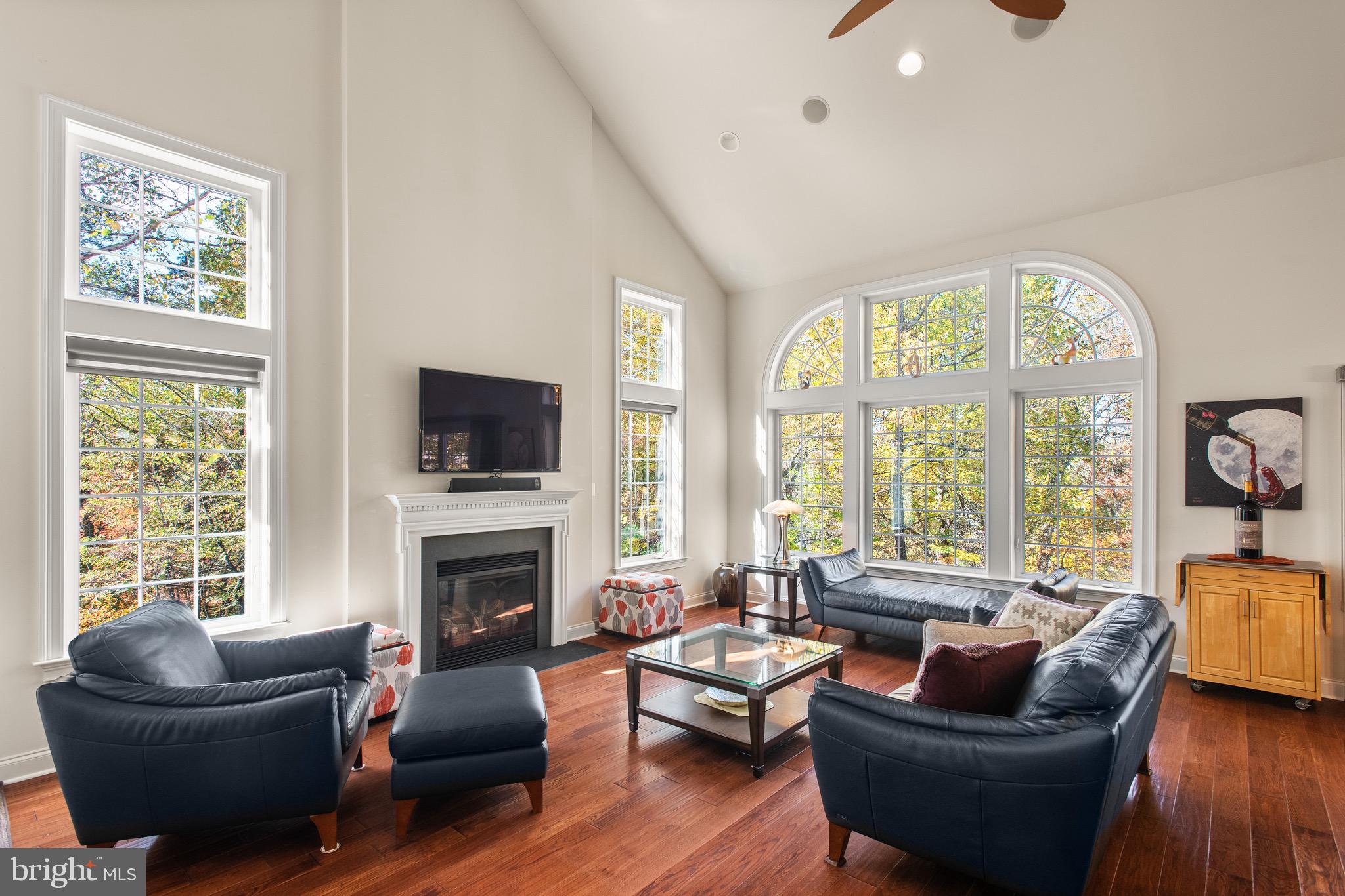 110 Dauphin Drive Springfield, PA 19064 - Photo 9 of 52 a living room with furniture a flat screen tv and a fireplace