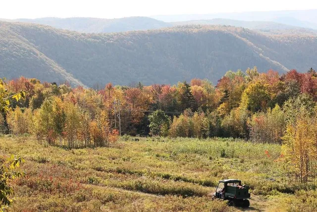 a view of an outdoor space with a lake view