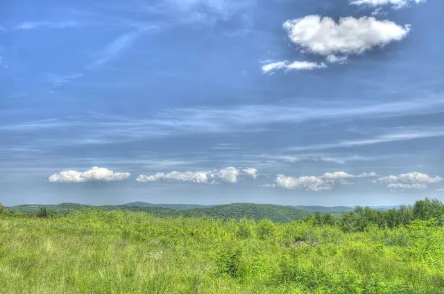 a view of a golf course with a lake
