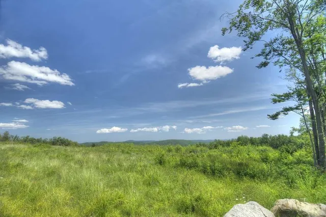 a view of a house with a yard and large trees