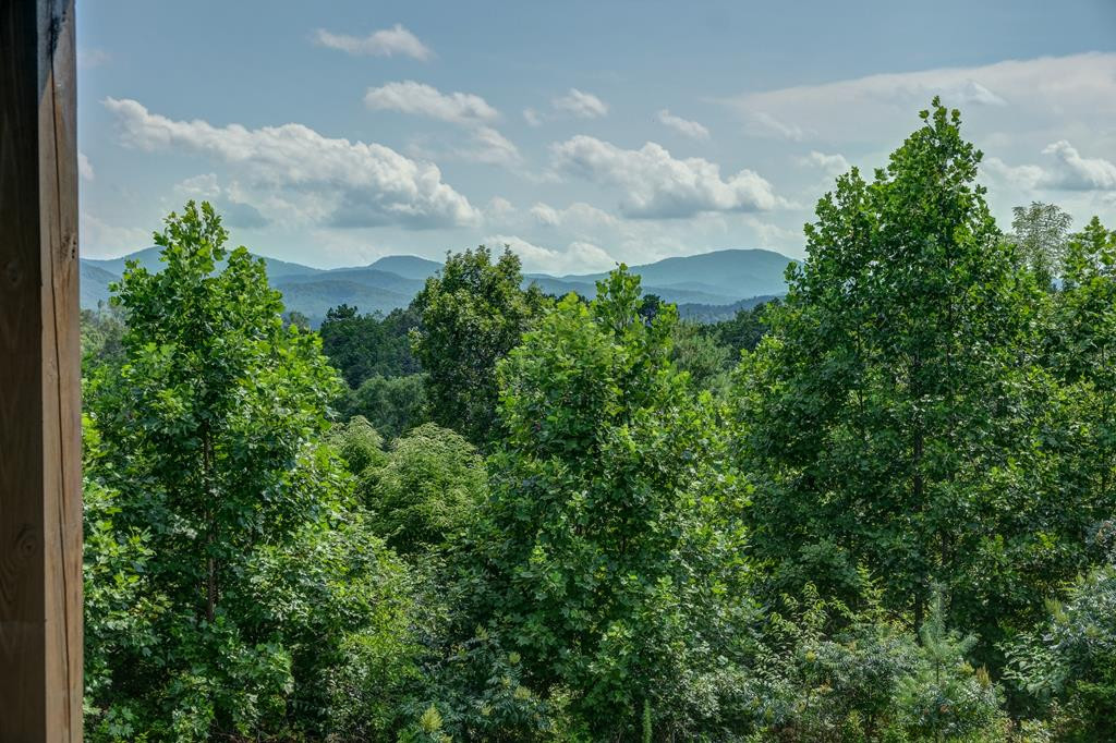 6623 Hiwassee Dam Access Road Murphy, NC 28906 - Photo 53 of 58