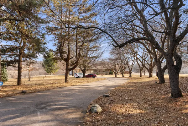 a view of a yard with trees