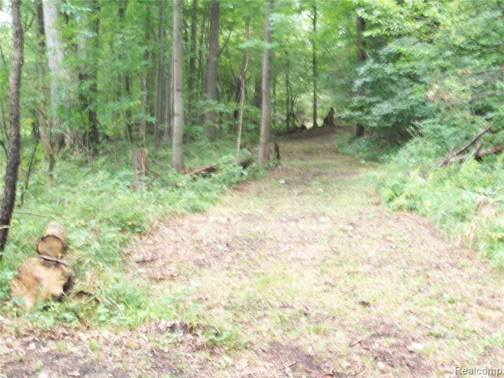 4350 5 Lakes Road North Branch, MI 48461 - Photo 19 of 24 Gallery Image 19