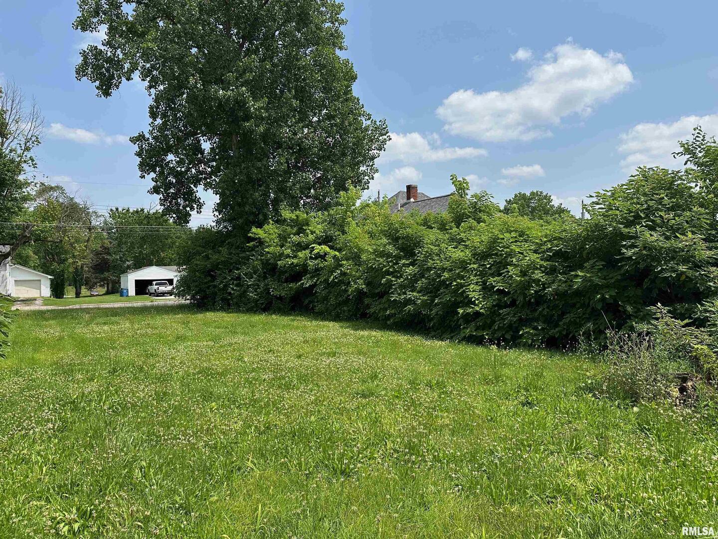 703 North Victor Street Christopher, IL 62822 - Photo 3 of 4 a view of a back yard