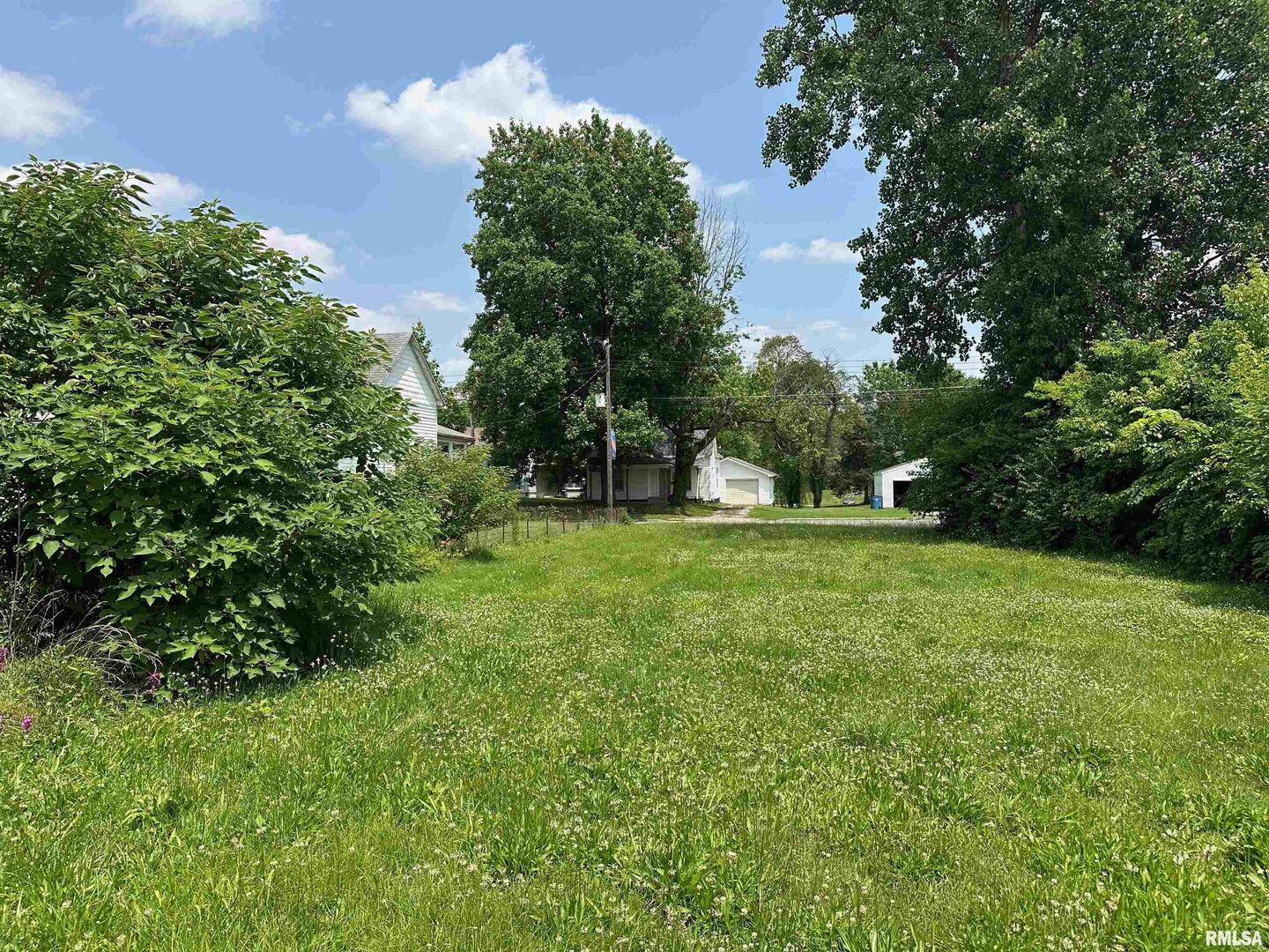 703 North Victor Street Christopher, IL 62822 - Photo 4 of 4 a view of green field with trees in the background
