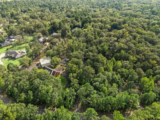 view of a city with lots of trees