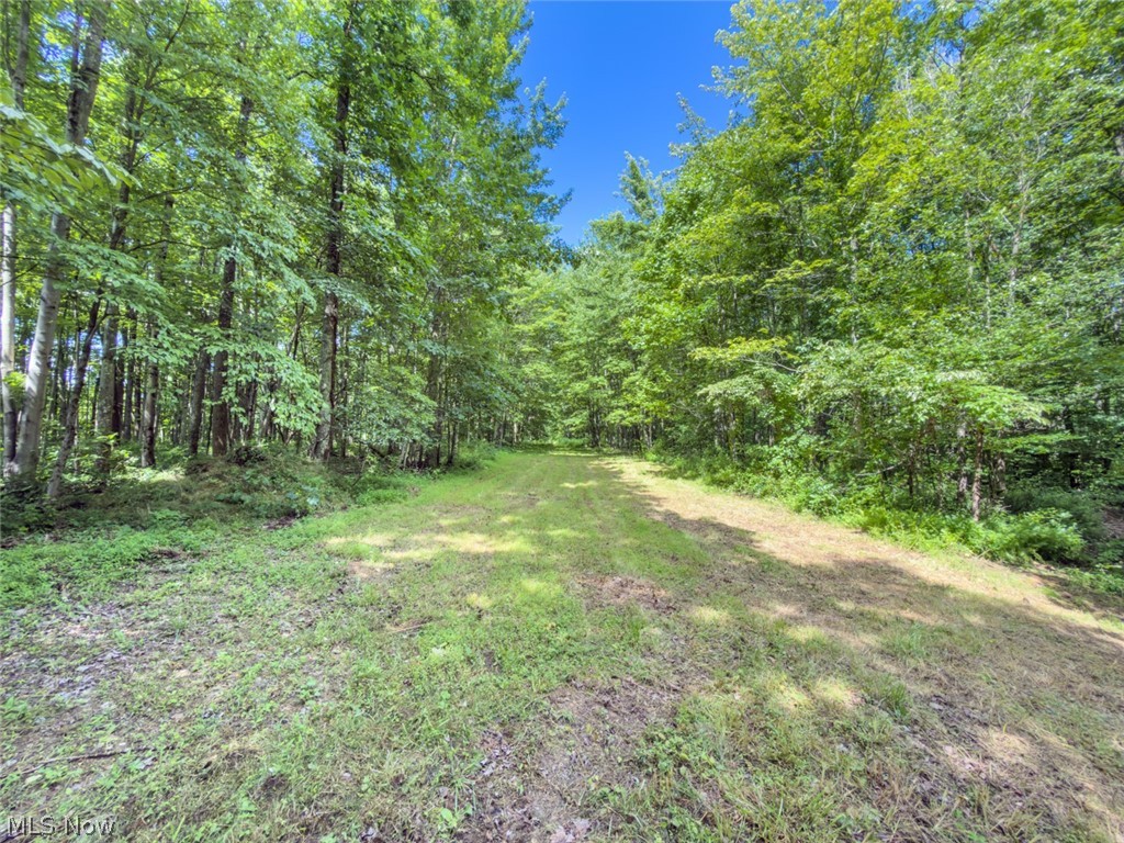 6985 Brush Run Road Cambridge, OH 43725 - Photo 24 of 50