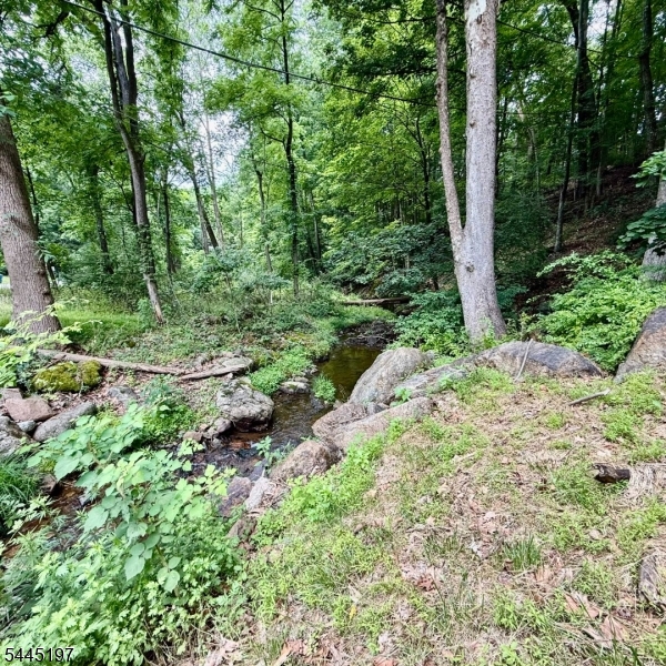58 Hollow Road Glen Gardner, NJ 08826 - Photo 13 of 17