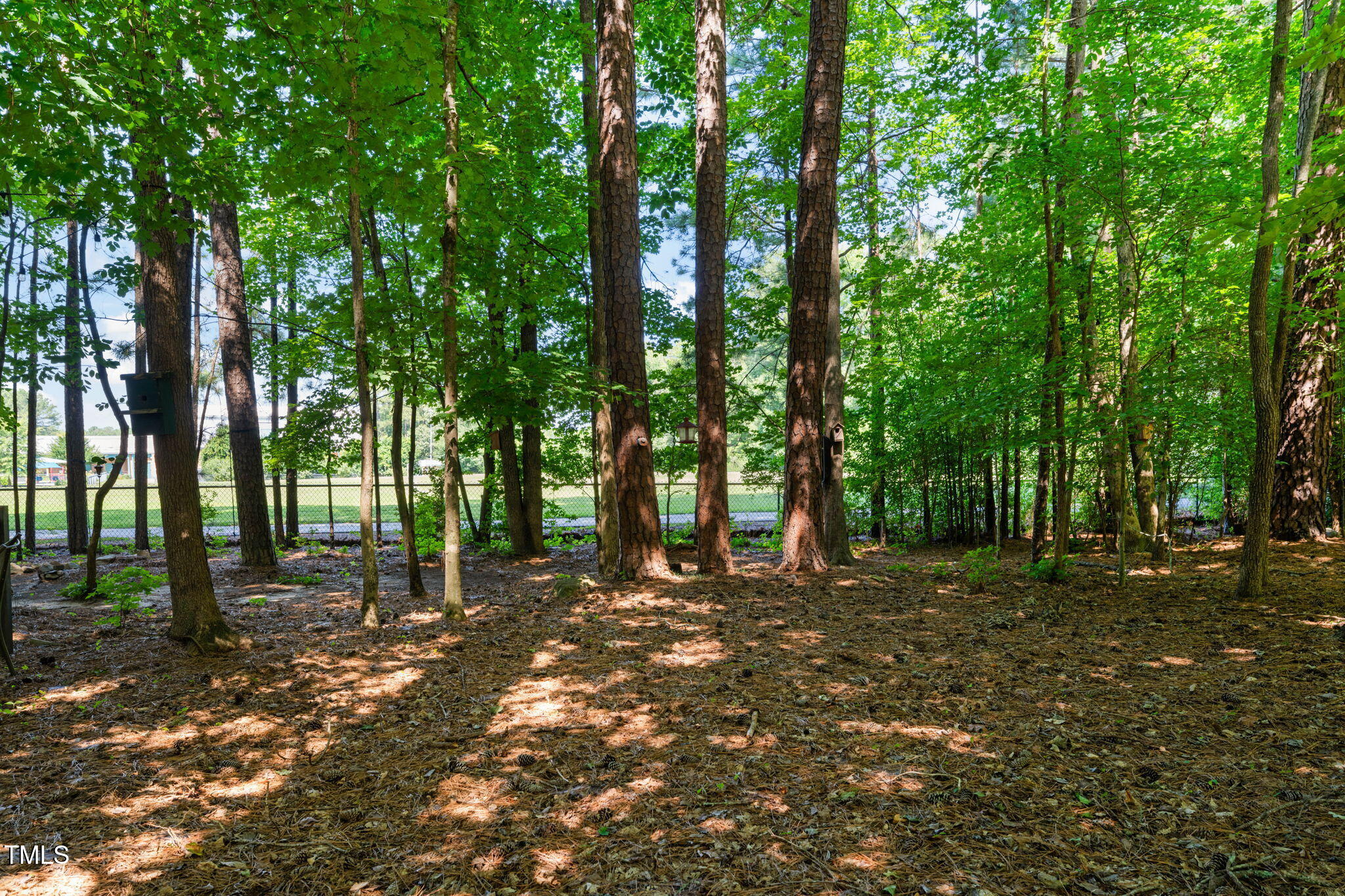 6051 Epping Forest Drive Raleigh, NC 27613 - Photo 15 of 26 a backyard of a house with lots of trees