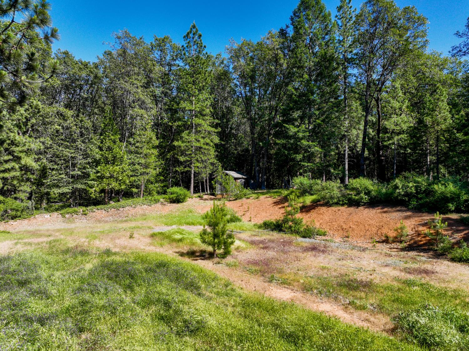 30220 Magra Road Gold Run, CA 95717 - Photo 14 of 51