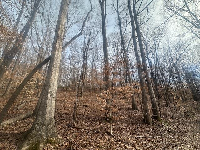 0 Lick Creek Road Michie, TN 38357 - Photo 5 of 20 View of nature