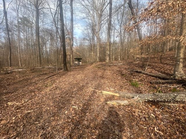 0 Lick Creek Road Michie, TN 38357 - Photo 6 of 20 View of nature
