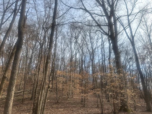0 Lick Creek Road Michie, TN 38357 - Photo 8 of 20 View of nature