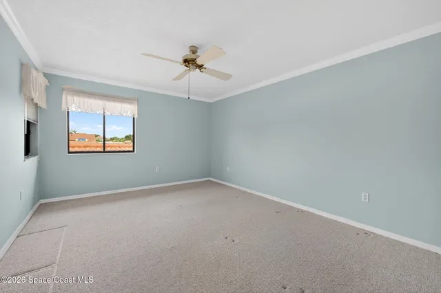 a view of a yard with plants and large trees