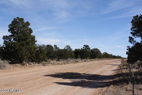 4313 East Woodland Ranch Road, Unit 112 Williams, AZ 86046 - Photo 1 of 10 20180410053029361633000000-o