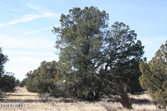 4313 East Woodland Ranch Road, Unit 112 Williams, AZ 86046 - Photo 3 of 10 20180410053031525030000000-o
