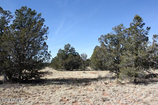 4313 East Woodland Ranch Road, Unit 112 Williams, AZ 86046 - Photo 5 of 10 20180410053033659770000000-o