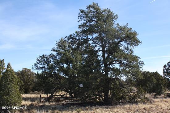 4313 East Woodland Ranch Road, Unit 112 Williams, AZ 86046 - Photo 6 of 10 20180410053034896574000000-o