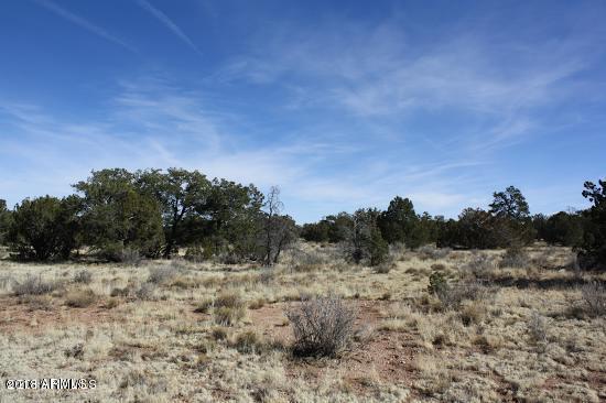 4313 East Woodland Ranch Road, Unit 112 Williams, AZ 86046 - Photo 7 of 10 20180410053036126703000000-o