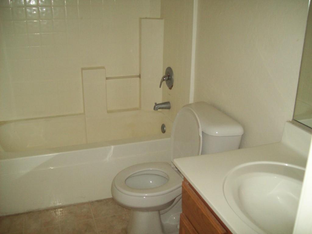 3209 West Pecan Road Phoenix, AZ 85041 - Photo 3 of 3 bath