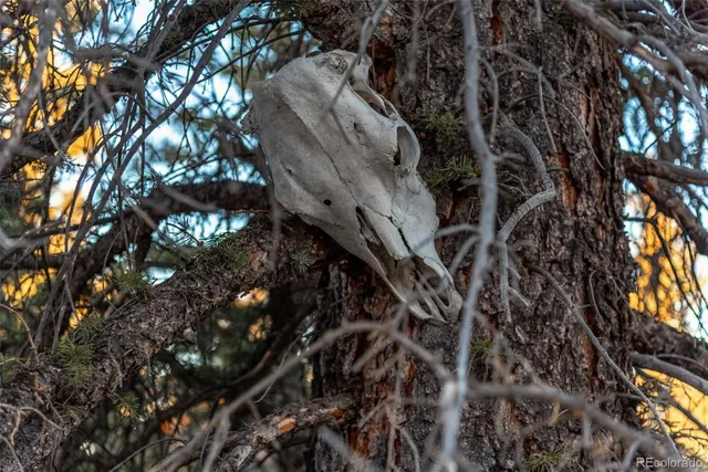 $674,900 | 270 Piaute Way, Como, CO 80432