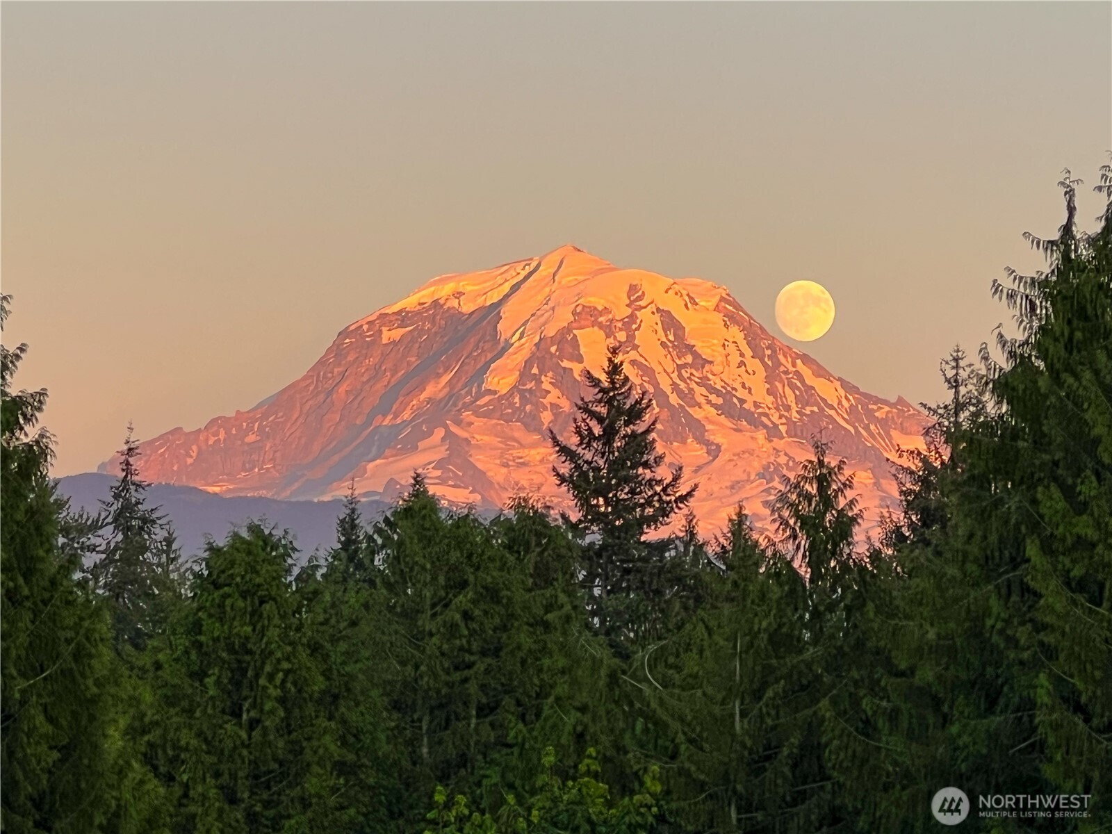 14608 A P Tubbs Road East Buckley, WA 98321 - Photo 39 of 39 a view of a forest