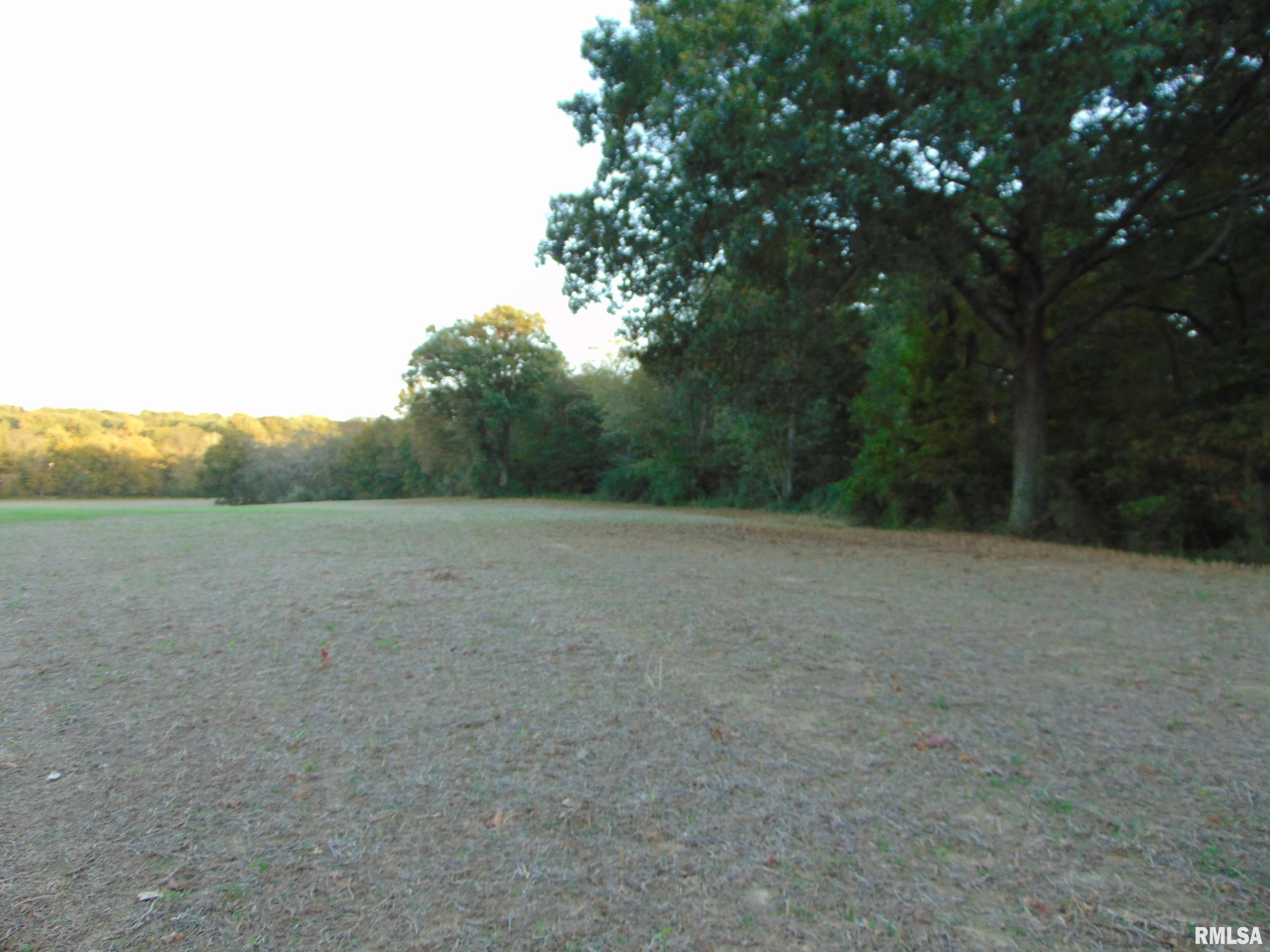 3048 Marlboro Road Vergennes, IL 62994 - Photo 1 of 11