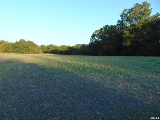 $742,000 | 3048 Marlboro Road, Vergennes, IL 62994