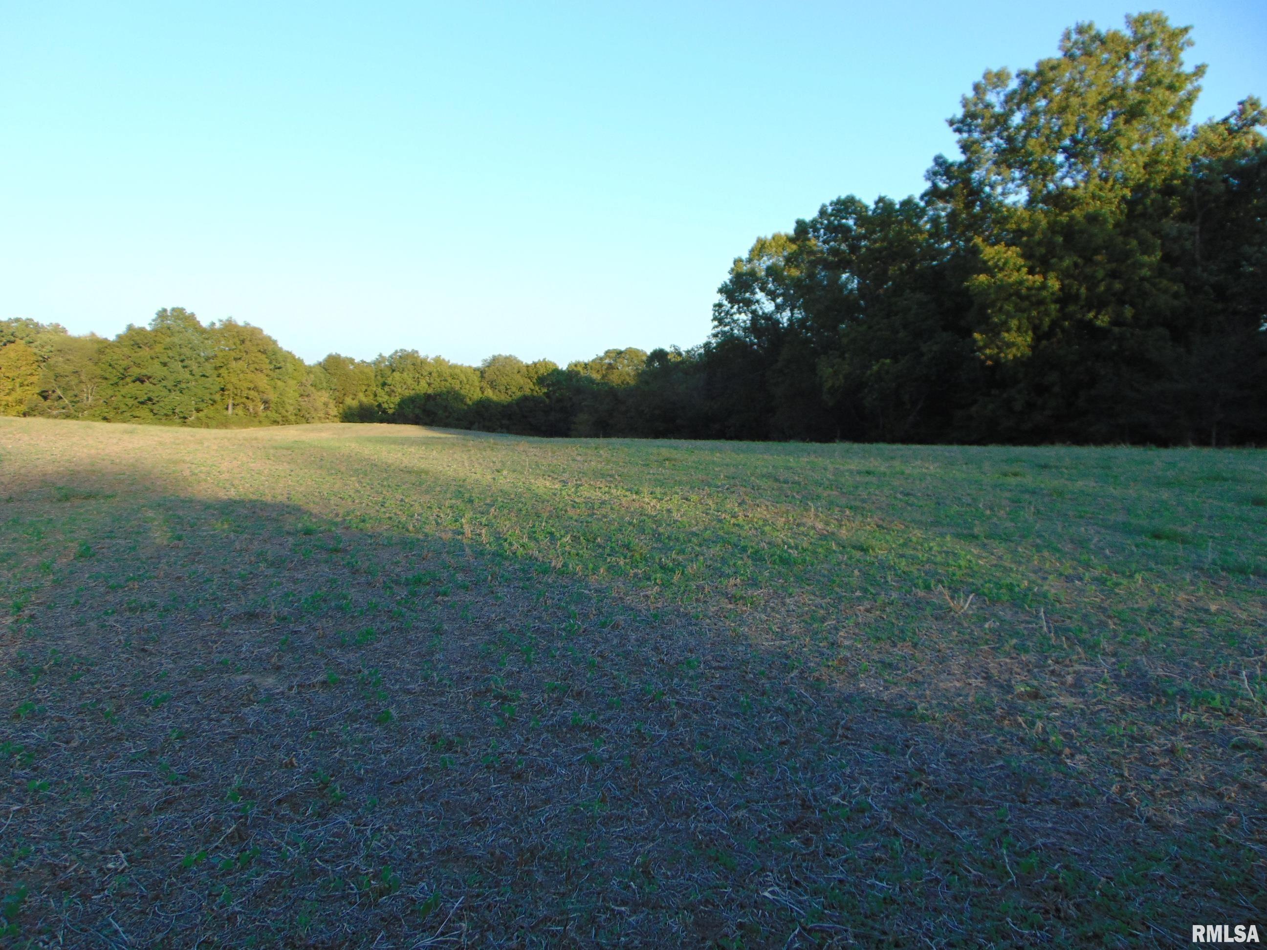 3048 Marlboro Road Vergennes, IL 62994 - Photo 3 of 11