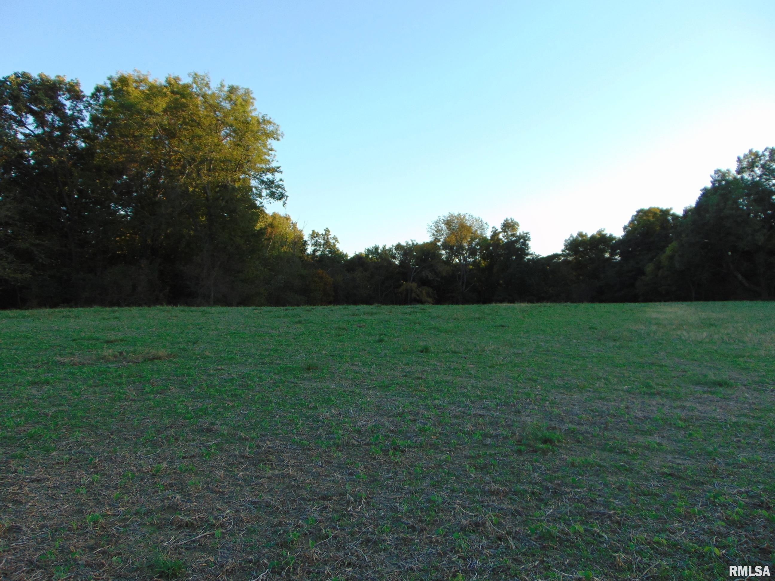 3048 Marlboro Road Vergennes, IL 62994 - Photo 4 of 11