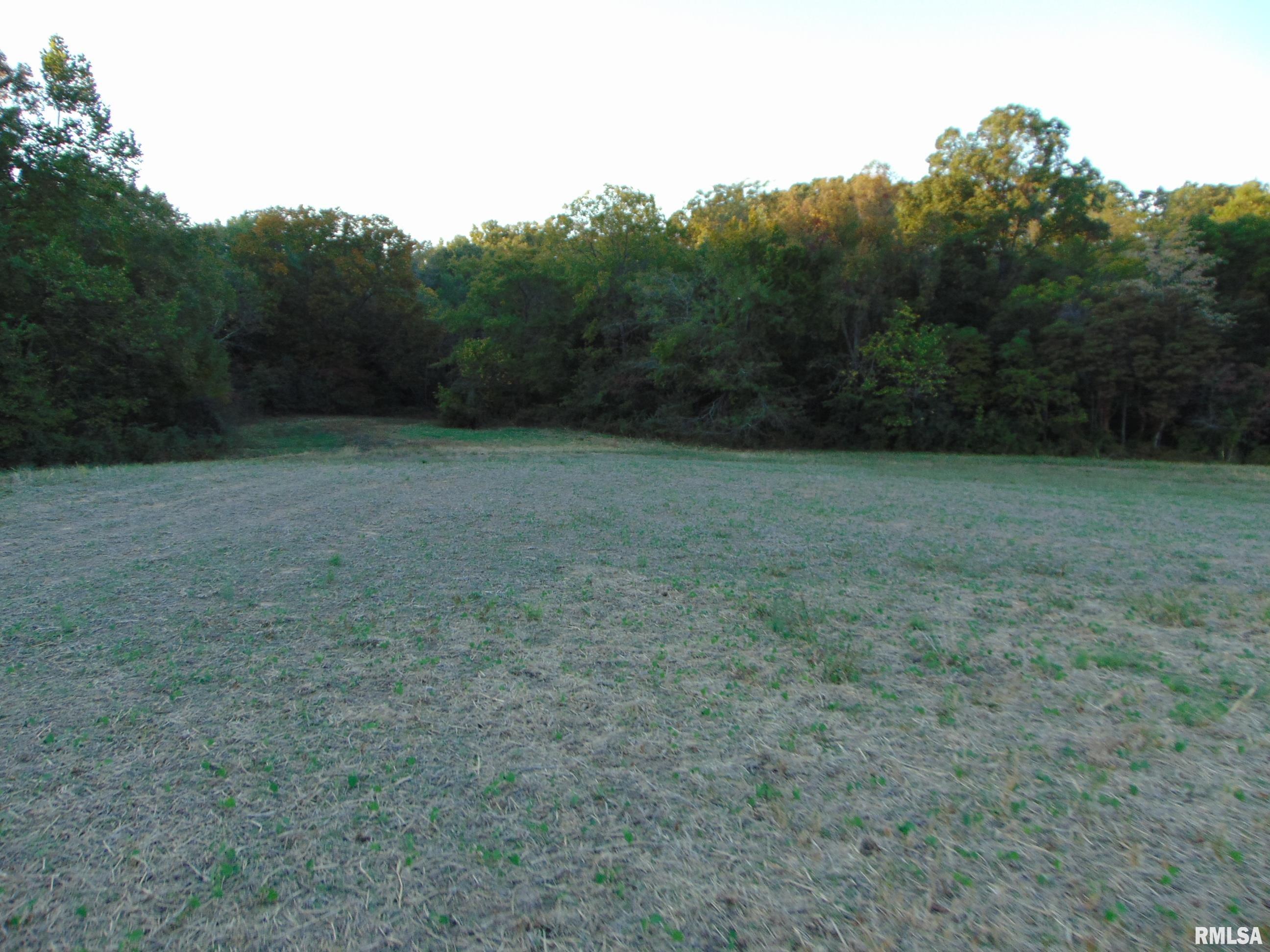 3048 Marlboro Road Vergennes, IL 62994 - Photo 5 of 11