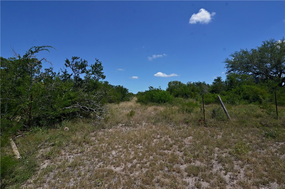 1641 Charco Road Beeville, TX 78102 - Photo 10 of 27