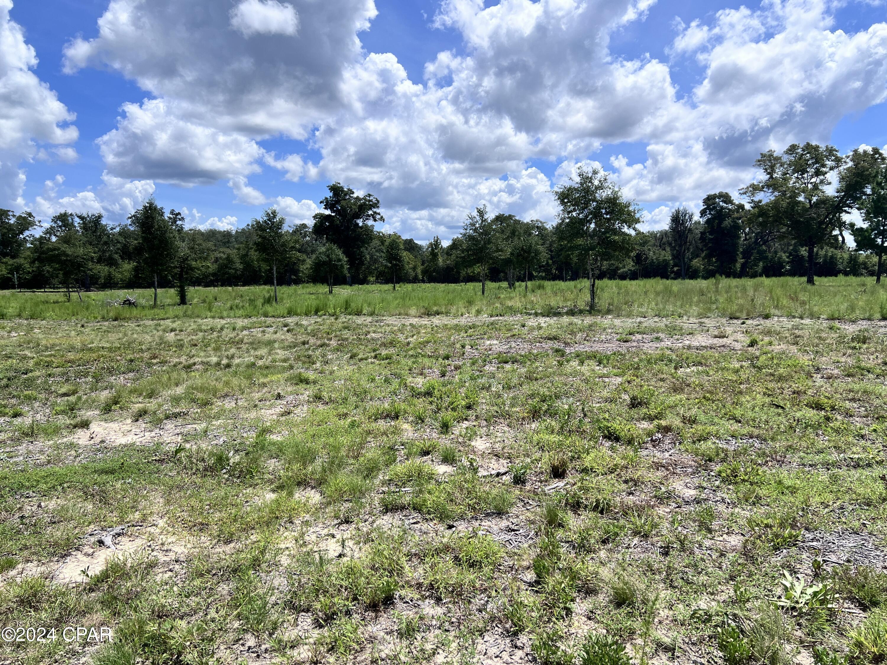 3219 Holmes Valley Road Vernon, FL 32462 - Photo 7 of 26 Gallery Image 7
