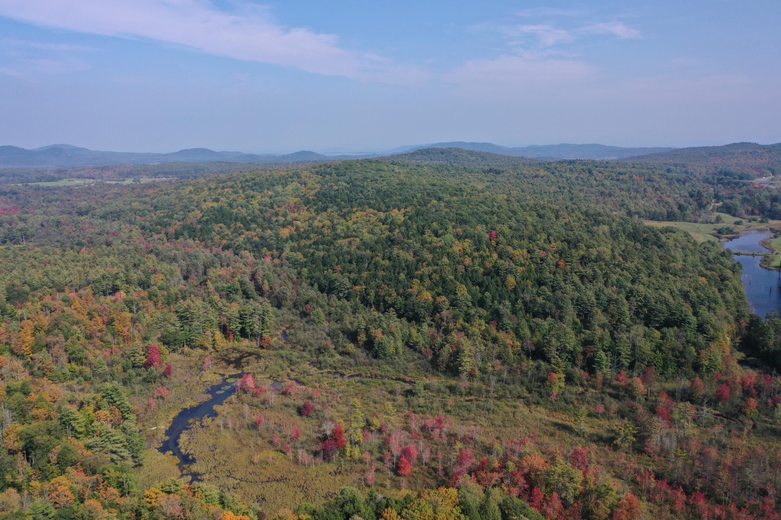 54 Brainards Forge Road Elizabethtown, NY 12993 - Photo 44 of 52 Gallery Image 44