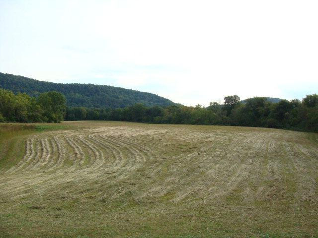 0 Bark Road Waco, KY 40385 - Photo 3 of 13 Photo 3