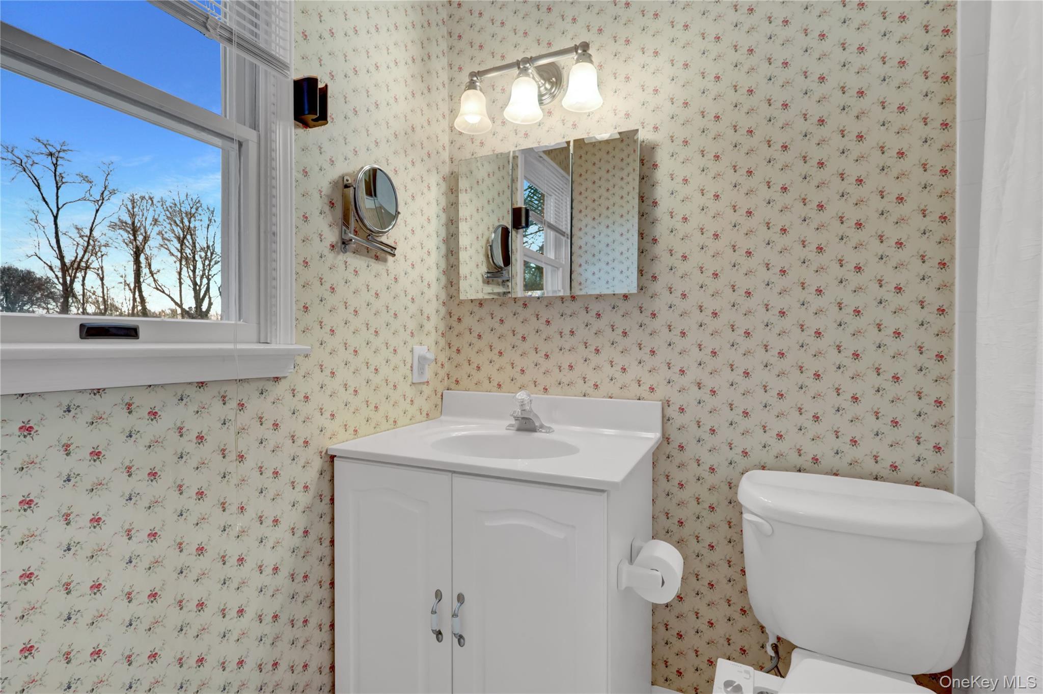 6 Samuels Path Miller Place, NY 11764 - Photo 28 of 47 a bathroom with a toilet sink and mirror