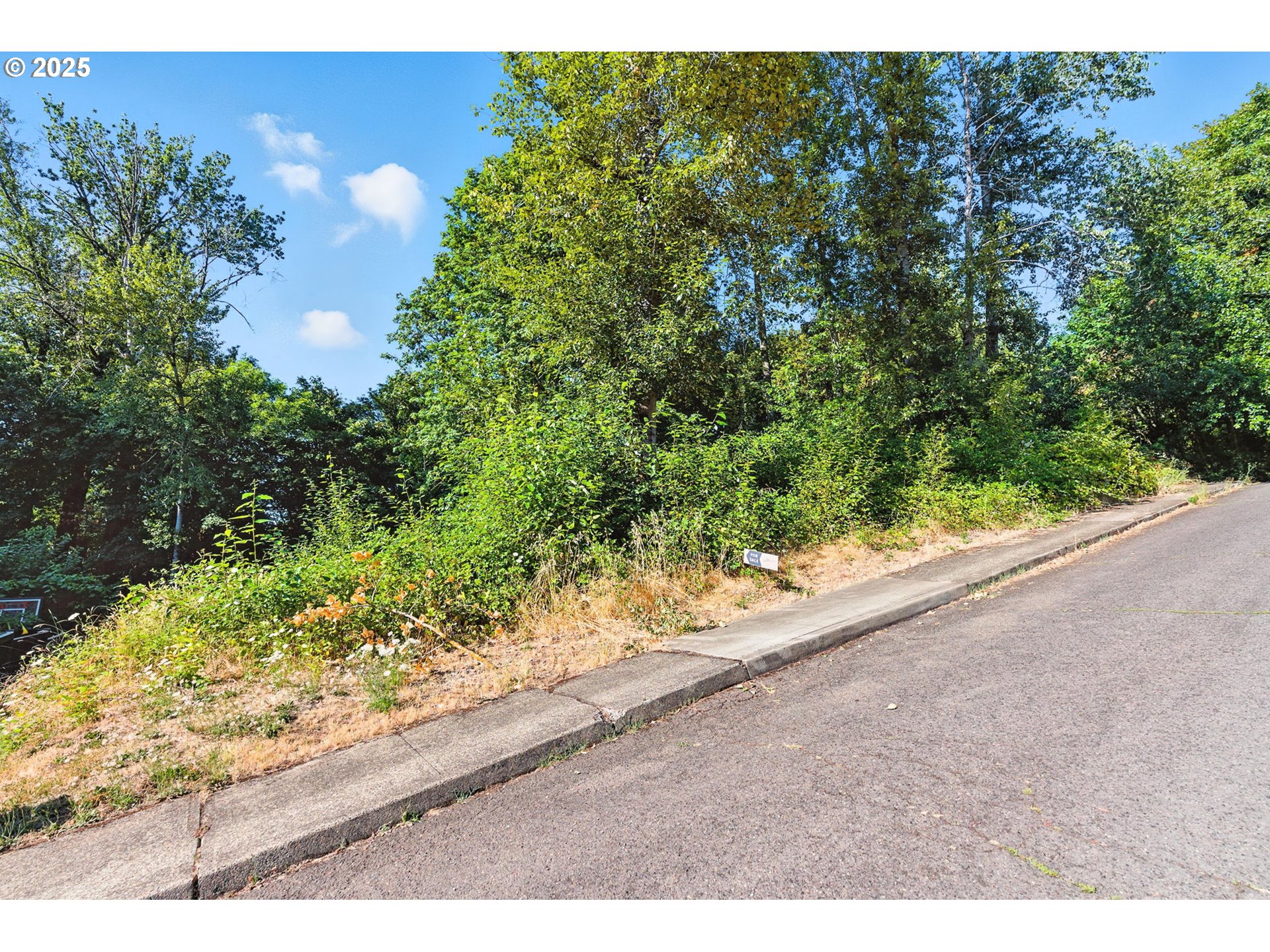 14745 Southeast Duke Street Portland, OR 97236 - Photo 1 of 19 a view of a garden