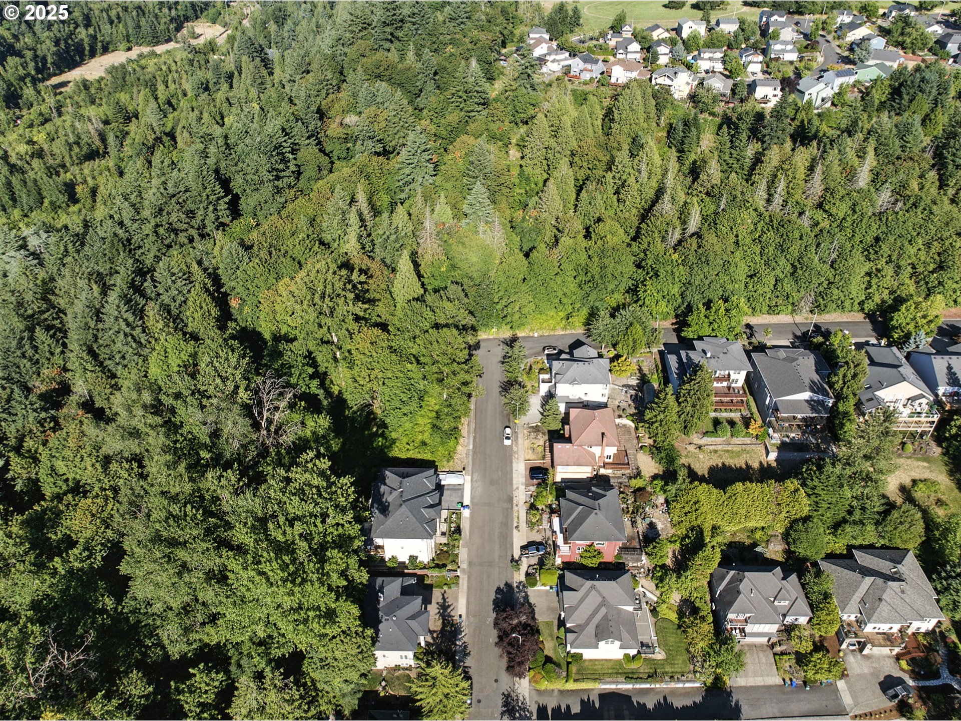 14745 Southeast Duke Street Portland, OR 97236 - Photo 11 of 19 an aerial view of residential house with outdoor space and trees all around