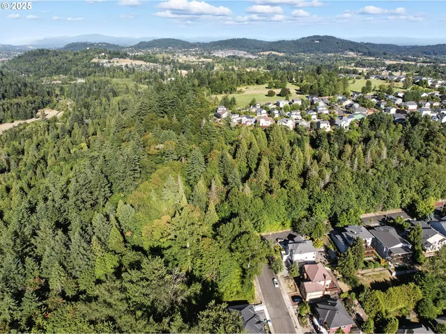 view of city and mountain