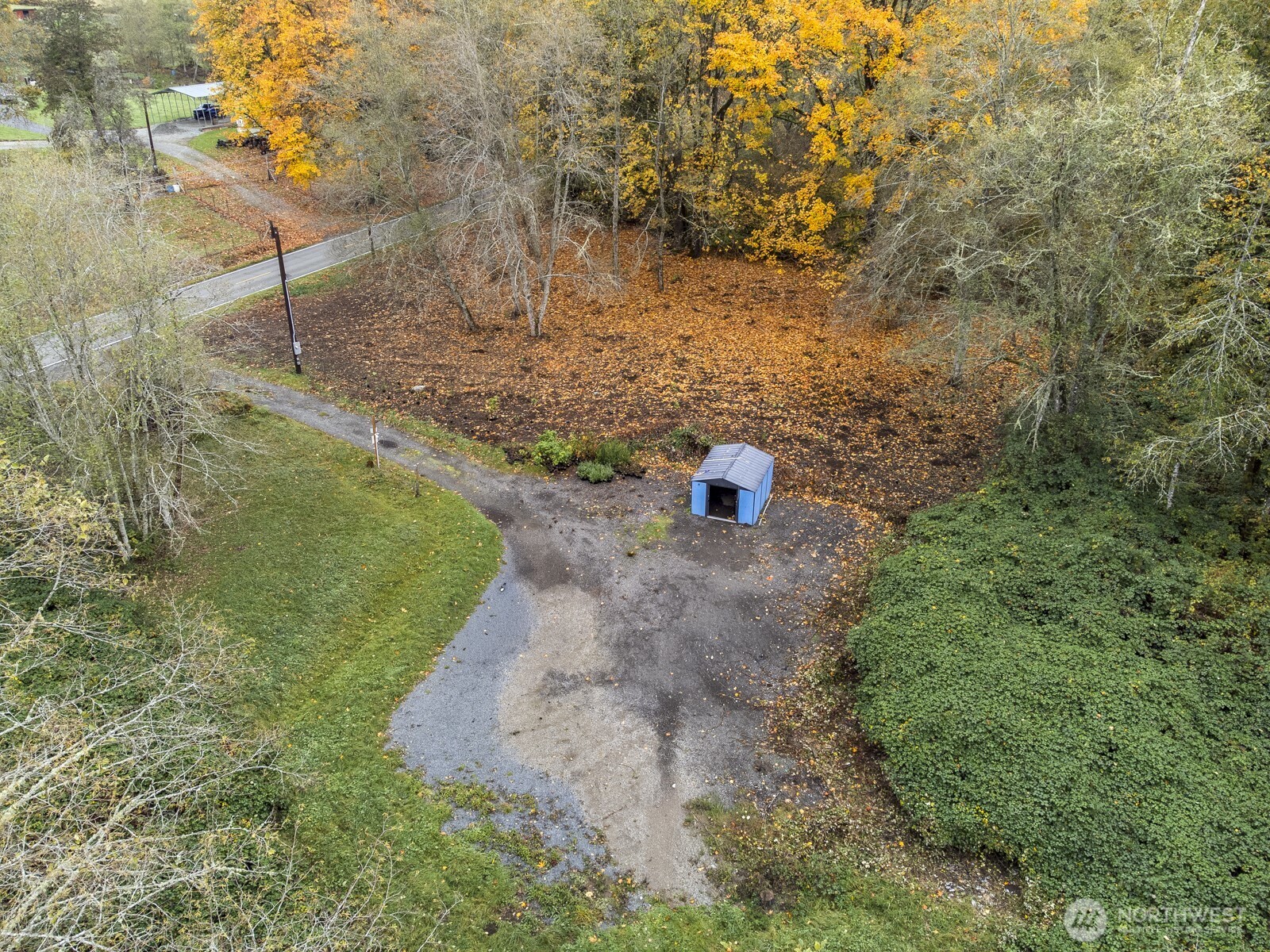 7714-7722 Grandview Road Arlington, WA 98223 - Photo 8 of 14 a view of a trees with a yard