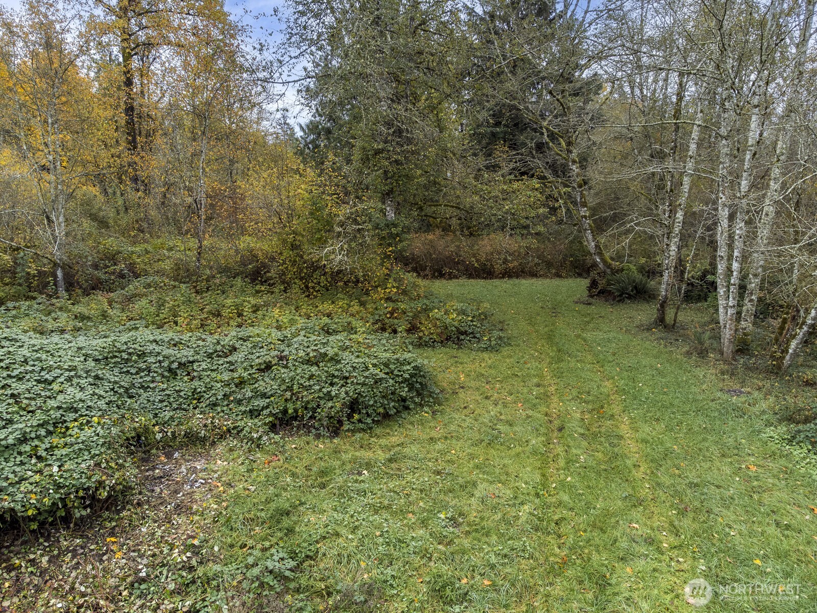 7714-7722 Grandview Road Arlington, WA 98223 - Photo 9 of 14 a view of a lush green space