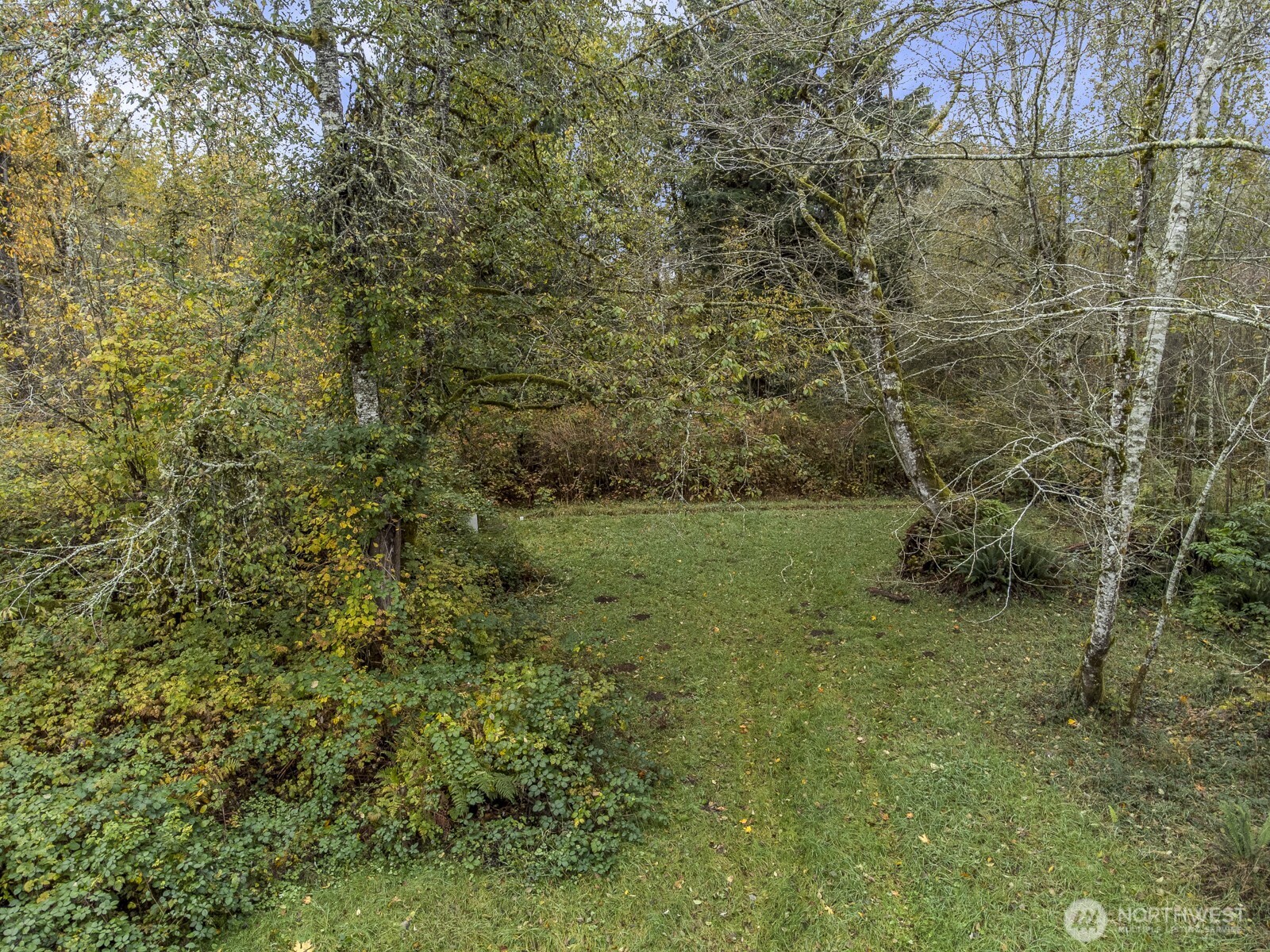 7714-7722 Grandview Road Arlington, WA 98223 - Photo 10 of 14 a view of a green field with plants