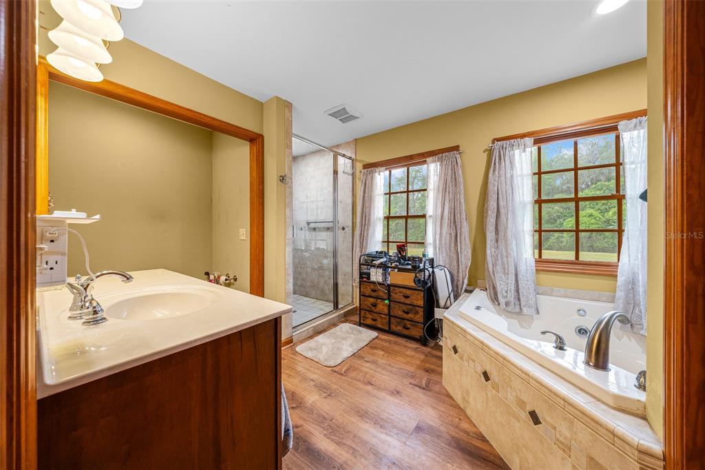 732 Carl Wilson Road Fort White, FL 32038 - Photo 21 of 80 a en suite bathroom with a granite countertop tub sink and mirror