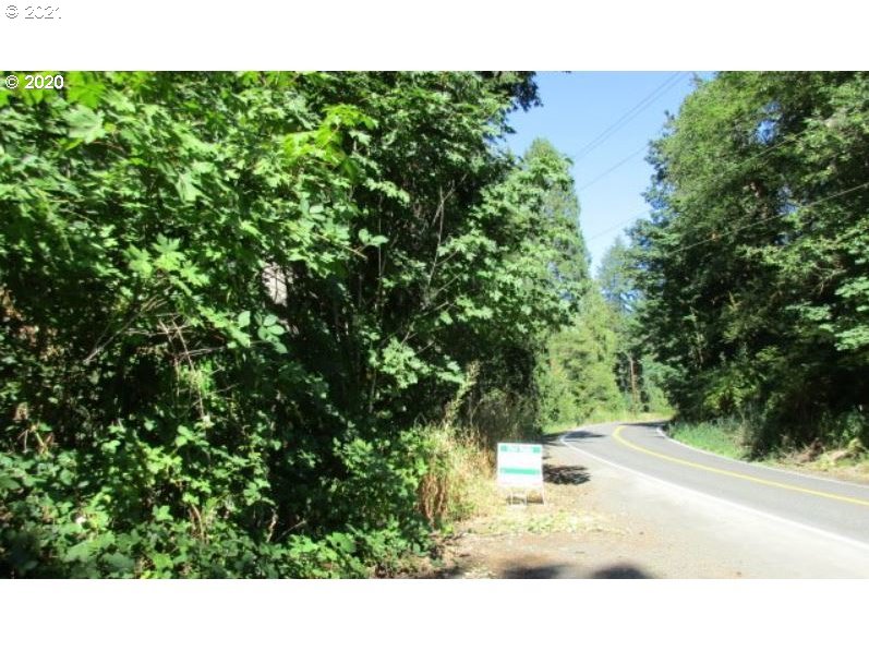 Nicolai Road Rainier, OR 97048 - Photo 2 of 4 a picture of a tree
