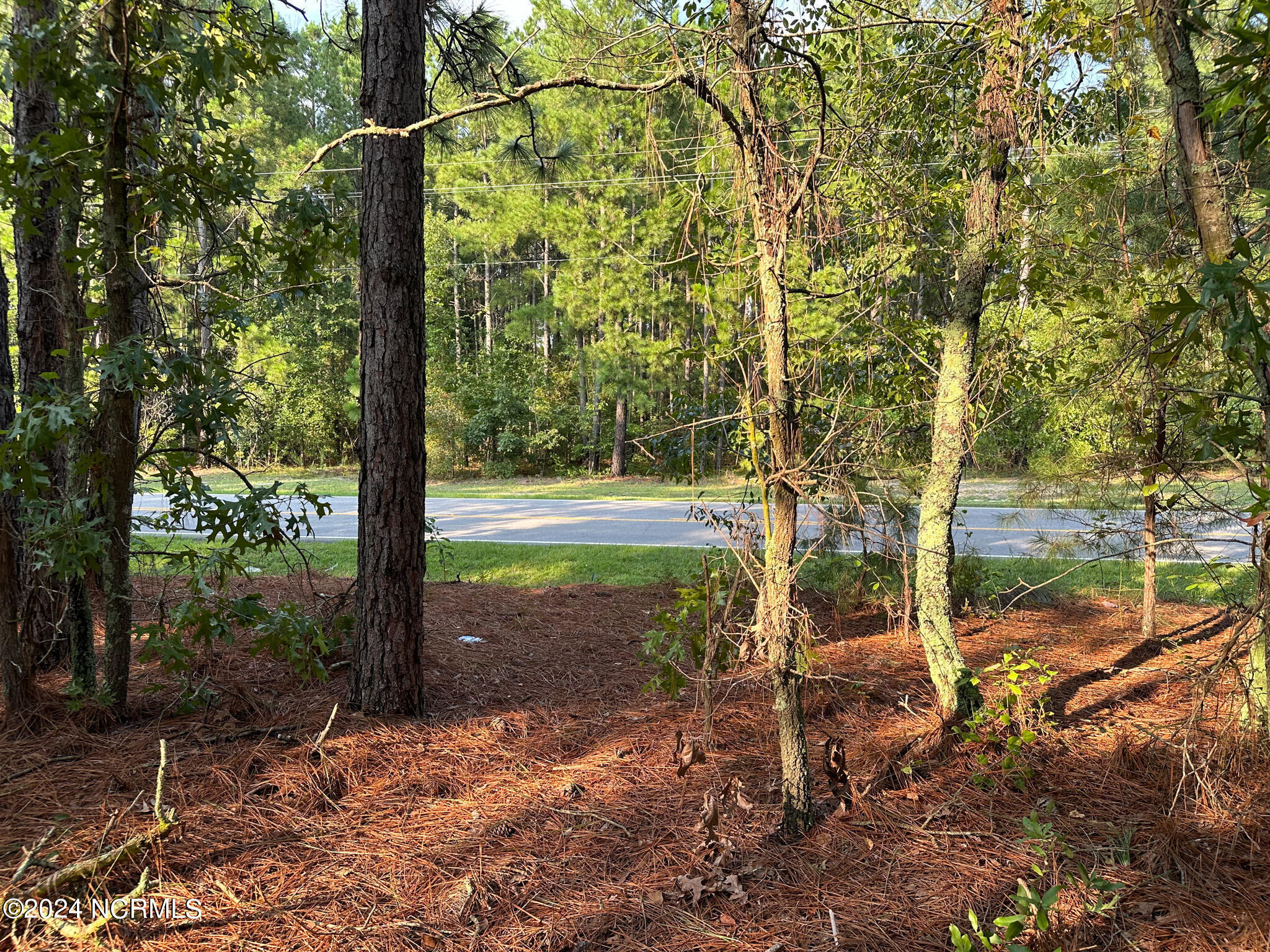 Tbd Davis Bridge Road Parkton, NC 28371 - Photo 22 of 26 IMG_3807